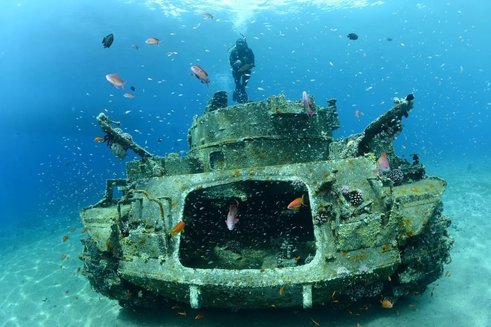 buceo en aqaba