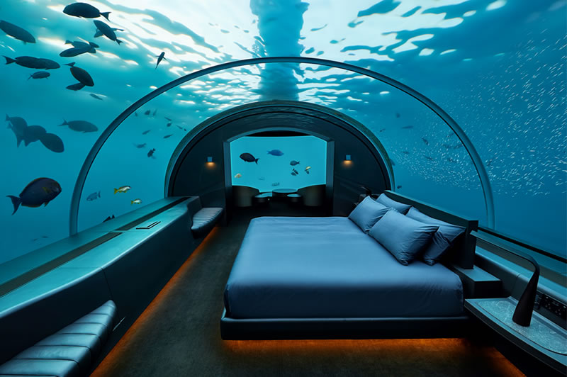 Hotel acuario